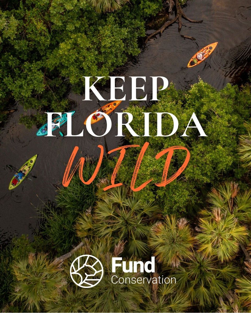 Florida Wildlife Federation tweet media