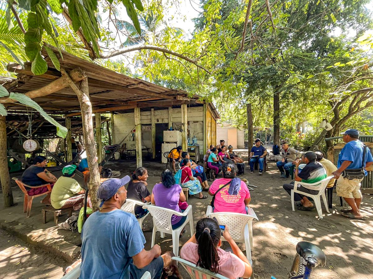 ☘️ASPRODE impulsa acciones permanentes para la conservación y restauración de los manglares, fortaleciendo la protección de este ecosistema clave para la biodiversidad marino-costera. A través de proyectos ambientales, comunidades locales e instituciones aliadas.