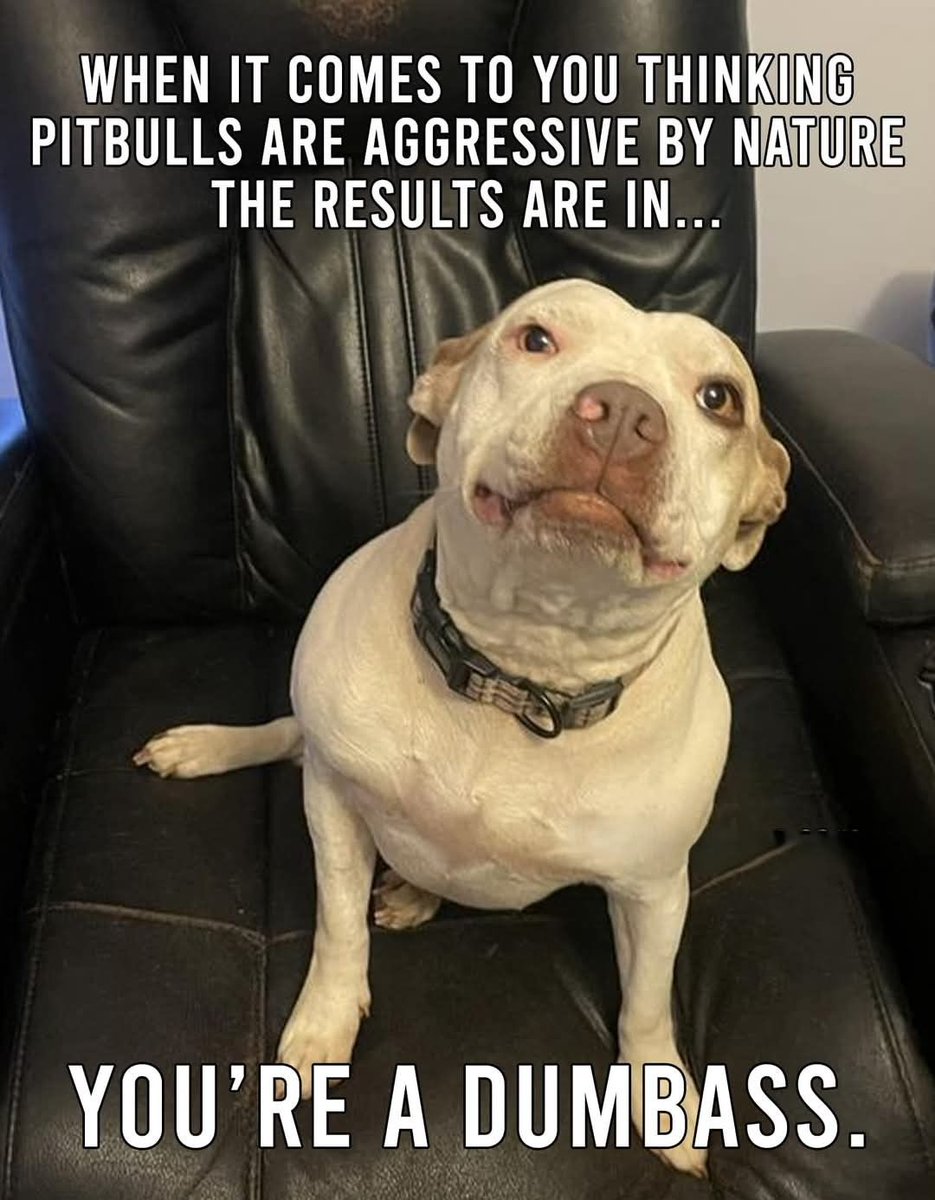 🚫 There Is No Such Thing As a Dangerous Breed 🚫

You heard that right.

Not pit bulls.
Not rottweilers.
Not shepherds.
 No breed is born dangerous.
⚠️ What is dangerous?
• Fear over facts
• Neglect and abuse
• Irresponsible humans
Dogs don’t choose to fight.
Dogs don’t