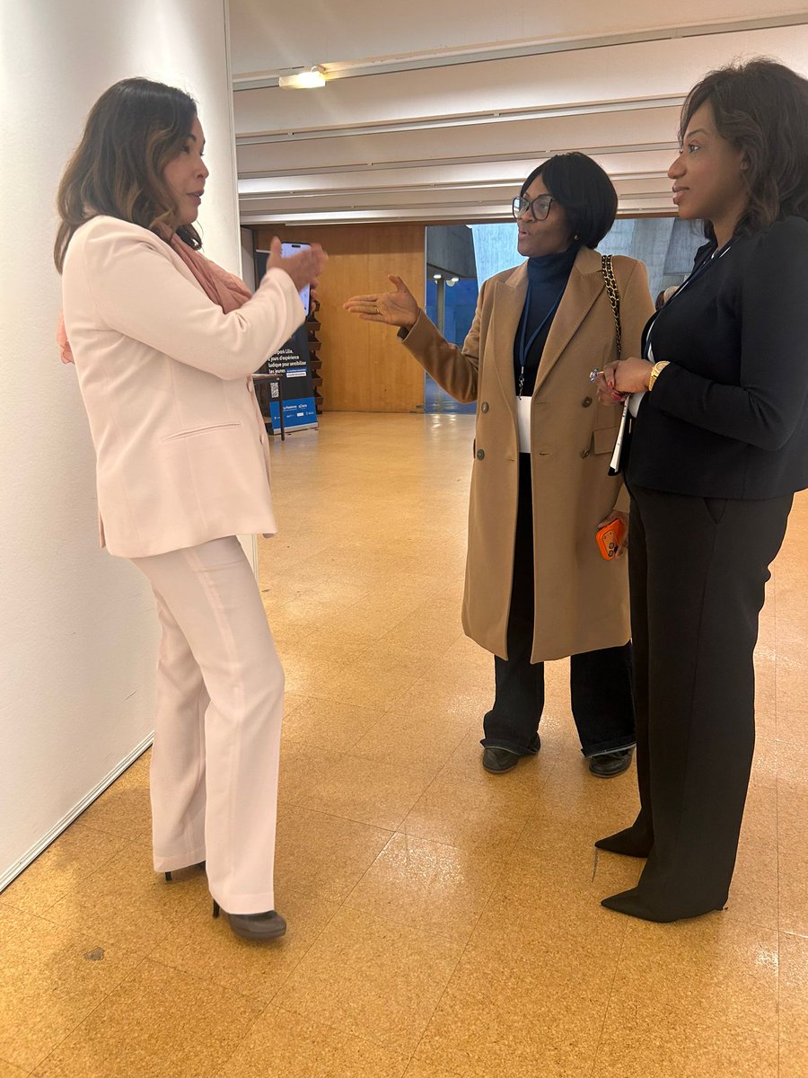 FDEC Femmes D'Exception du Congo tweet media