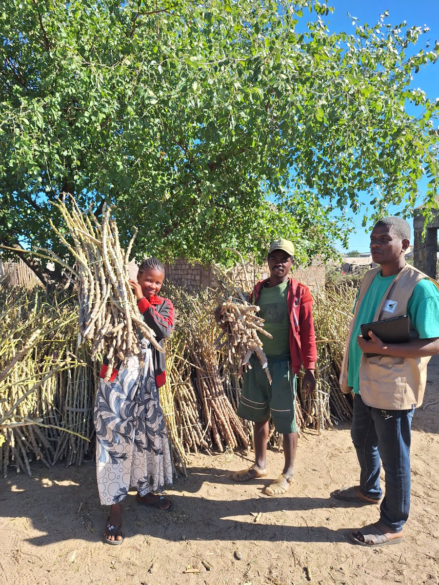 FIDA-Madagascar tweet media