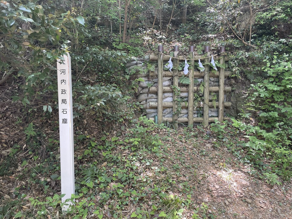 kawazo28's tweet photo. 🏯 「高天神を制する者は遠江を制する」！戦国最前線の激戦地、高天神城跡を訪れました
静岡県掛川市にある高天神城は、戦国時代に徳川家康と武田勝頼が、喉から手が出るほど欲しがった難攻不落の山城です。
このお城の凄さは、その「険しさ」にあります。切り立った断崖絶壁に守られた天然の要塞で、一時は家康の手から武田勝頼が奪い取り、武田軍の強さを天下に示しました。
しかしその後、家康はこの城を奪還するために周囲に「横須賀城」などの砦を築いて完全包囲。武田軍が飢えに苦しみながらも、援軍のない中で最後まで戦い抜いた**「高天神城の戦い」**は、武田氏滅亡の大きな転換点となった悲劇の舞台でもあります。
現在は建物こそありませんが、山全体に刻まれた複雑な堀や土塁、そして兵たちが駆け巡った険しい道がそのまま残っています。
頂上からの眺めは絶景ですが、ここで繰り広げられた壮絶な攻防戦を思うと、歴史の重みに背筋が伸びる思いでした。戦国時代の厳しさとロマンを最も濃く感じられる、唯一無二の城跡です！
#高天神城 #武田勝頼 #徳川家康 #歴史 #静岡観光 #お城巡り #日本100名城