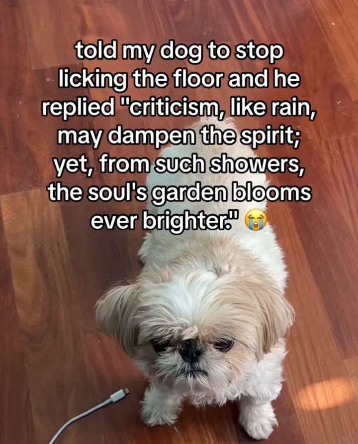 hpx says tweet media