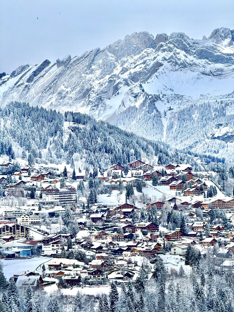 Ian Charles Stewart tweet media