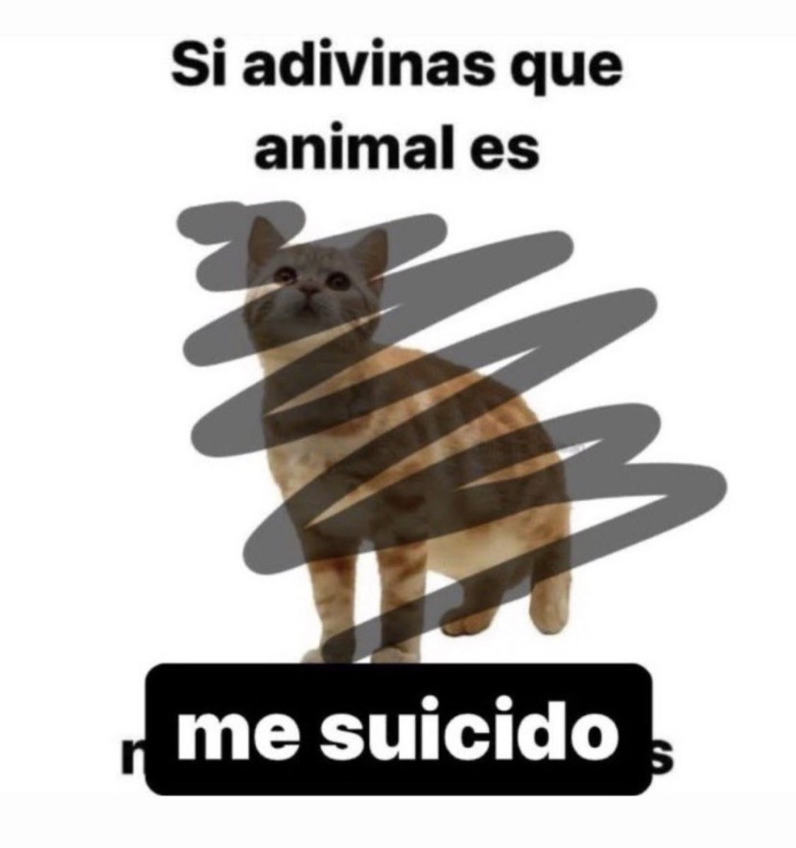 P1zz4! (no soy femboy) tweet media