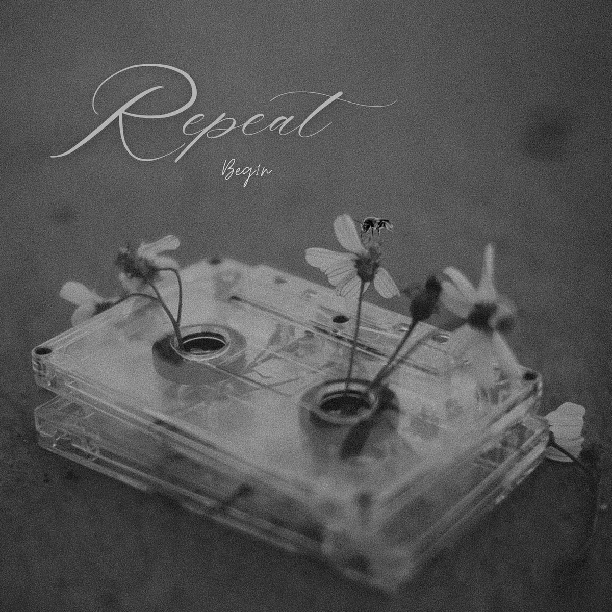 whoisbegin's tweet photo. “Love Repeats Itself” 🔁 https://t.co/4UzF1Wqqqu