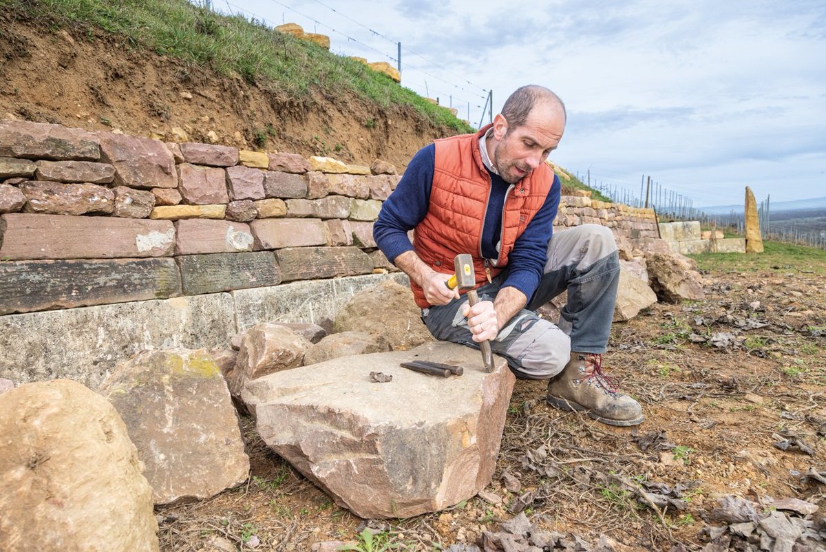 Domaine Emile Beyer tweet media