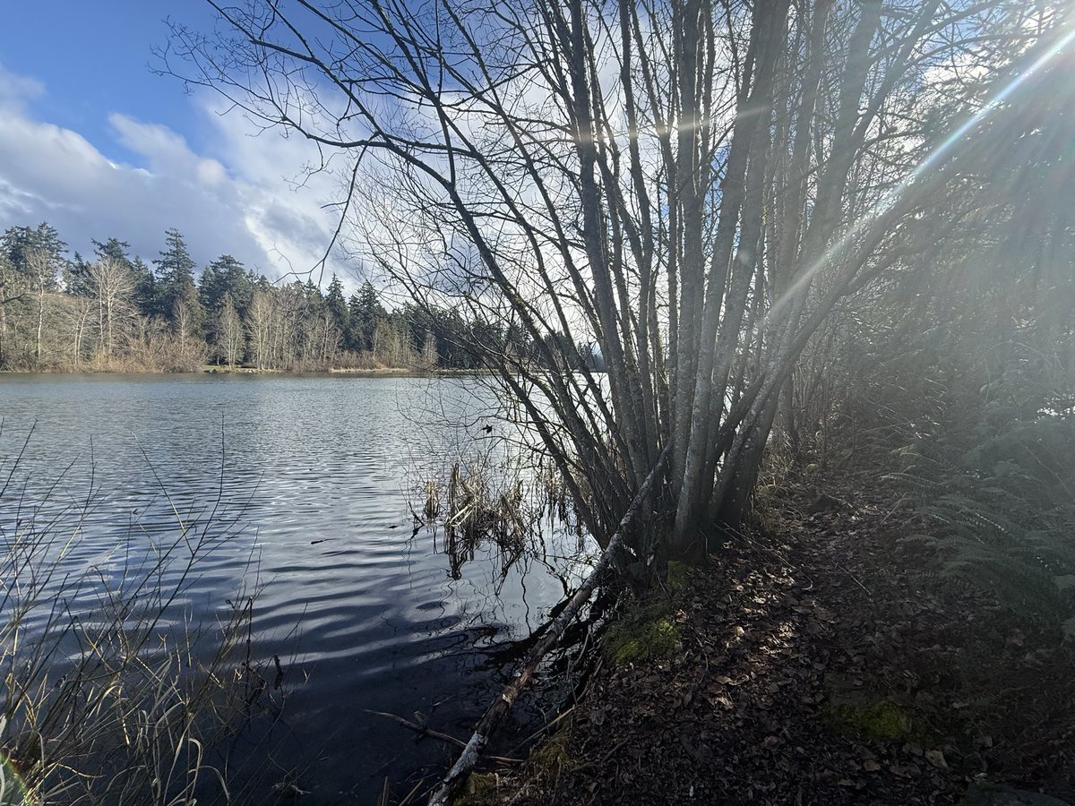 Mia Ireland tweet media