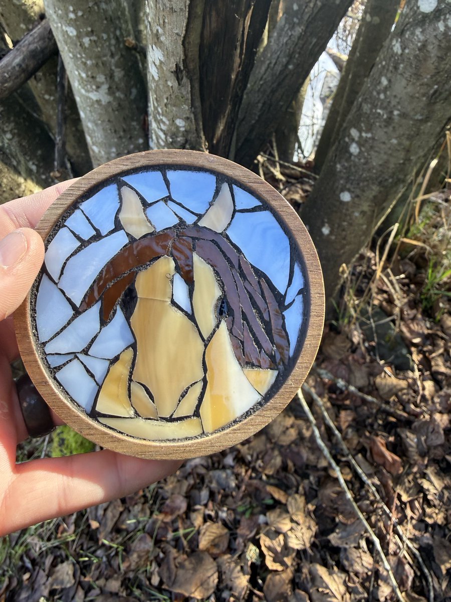 Mia Ireland tweet media