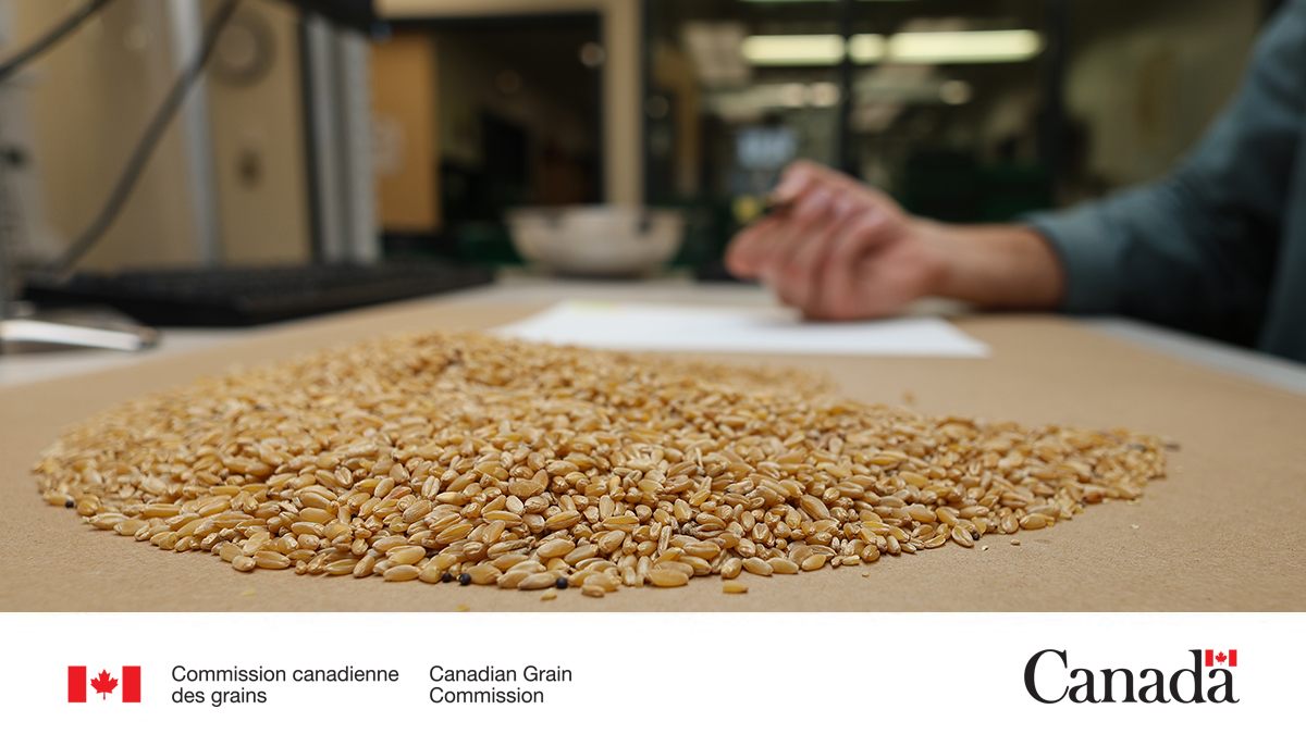 Vous pouvez demander notre détermination définitive de la qualité pour le grade officiel de votre grain ou tout facteur de classement individuel. Voici comment procéder: ow.ly/WIav50Yhbcu