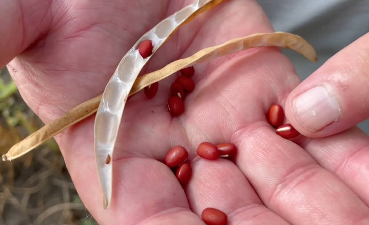 RealAgriculture tweet media