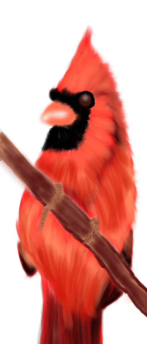 lisacandy84 🫐 tweet media