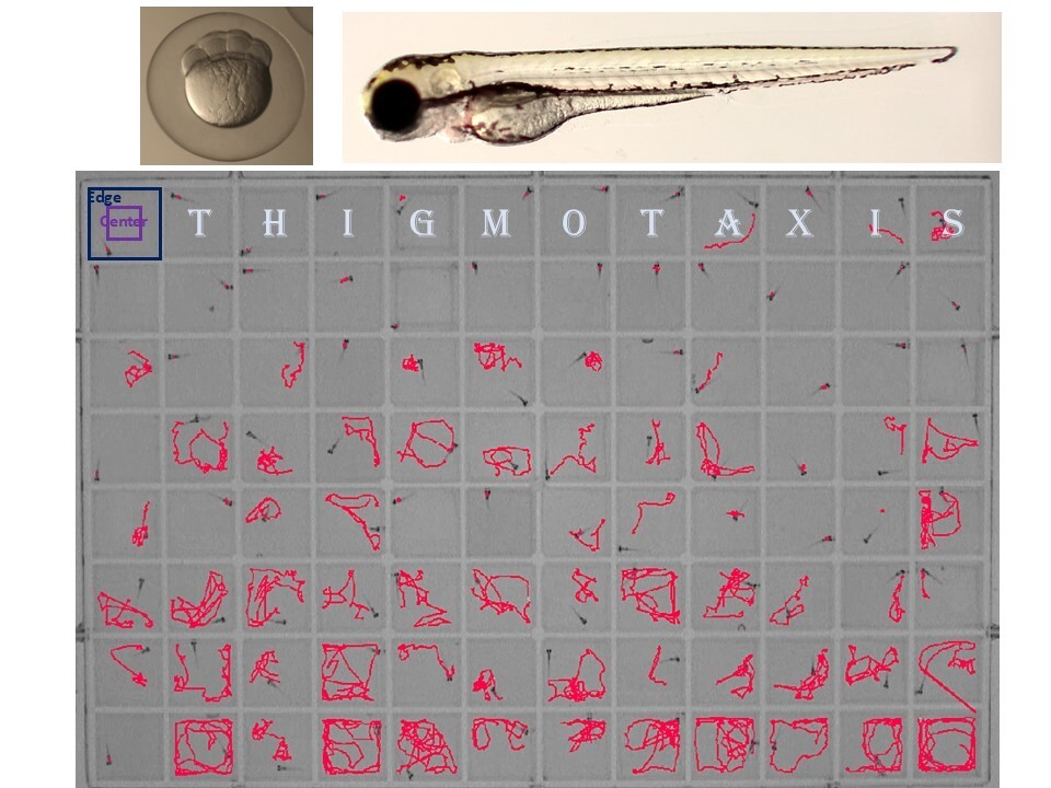 Noldus IT tweet media