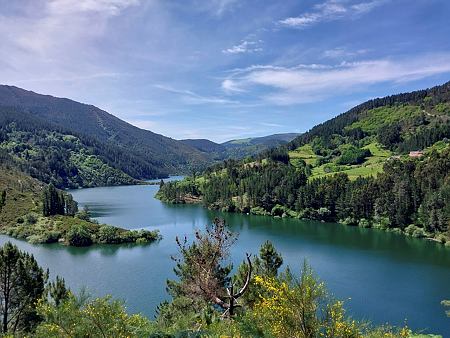 Diego Mader tweet media