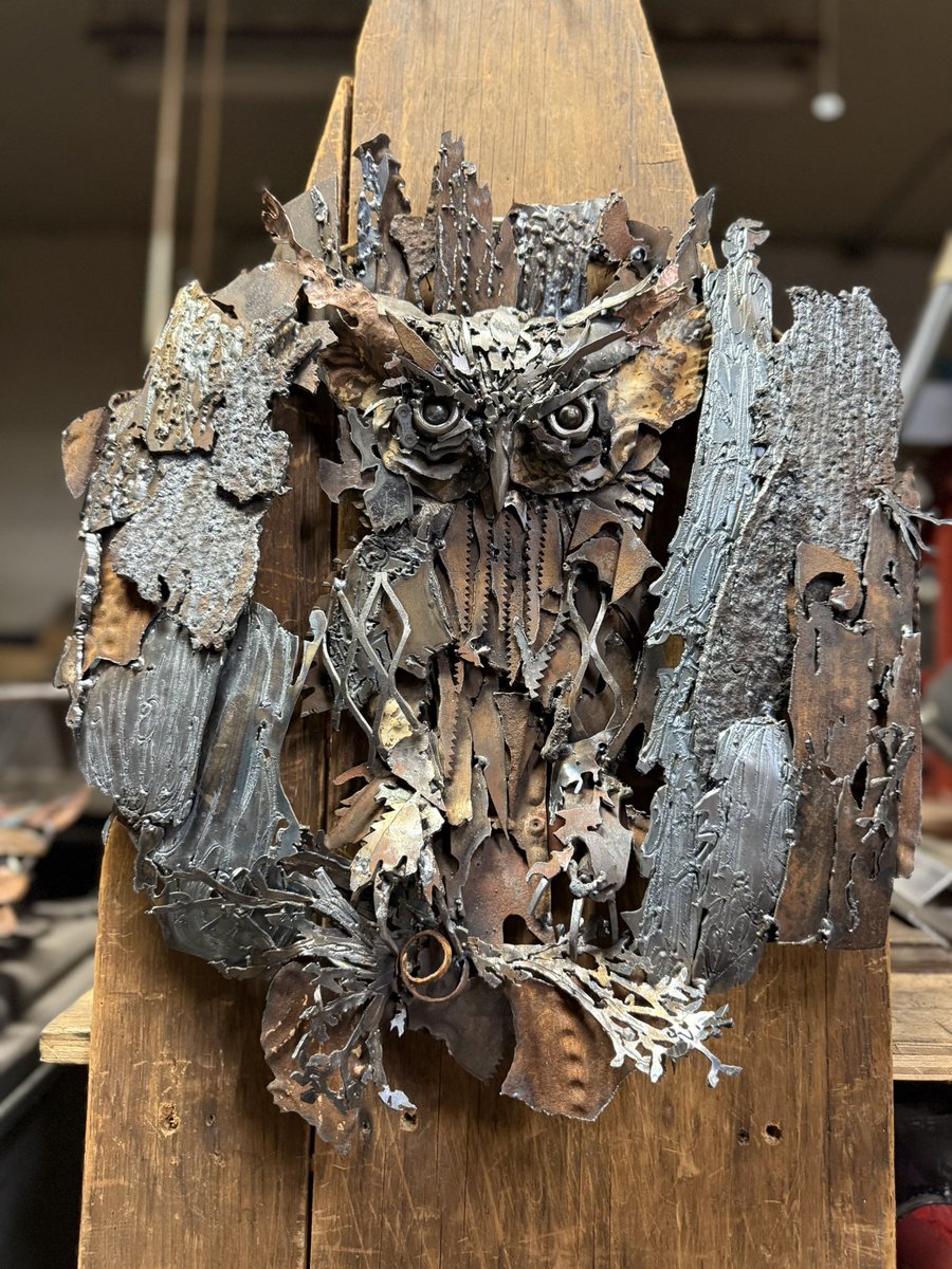 Trisha M-Bourbeau tweet media