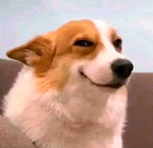 I caaaaan't aaaaahdhfhsh 😭