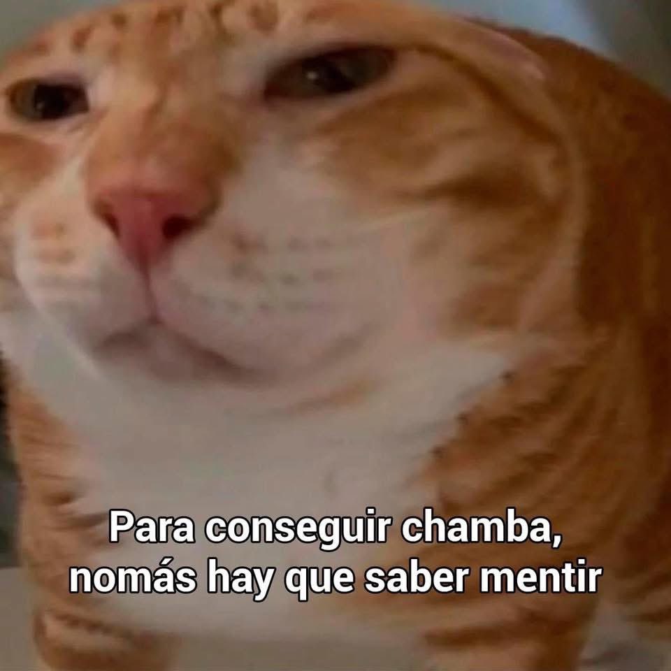 memefeos's tweet photo. https://t.co/55kTKEiQOe