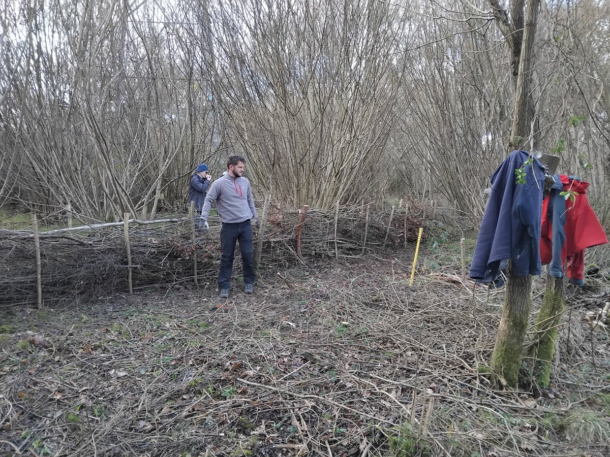 Greenways Project tweet media