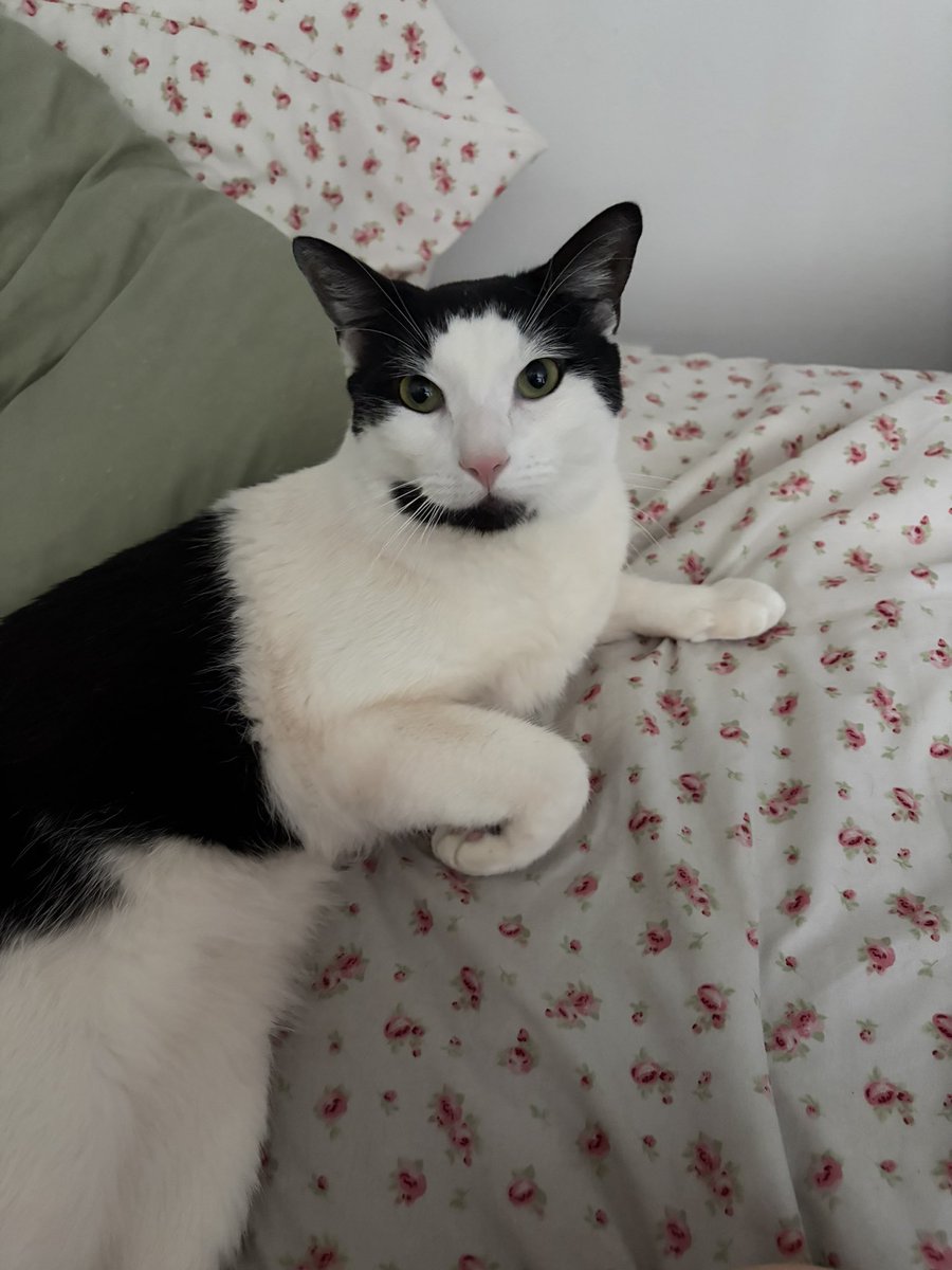 mine momby tell me she has to get chest cat herter removed and she get to stay homb with me i gona be best norse ever