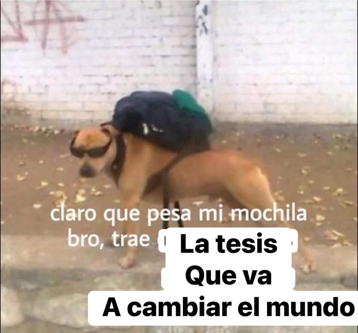 memes feos yo qué sé (@memefeos) on Twitter photo 