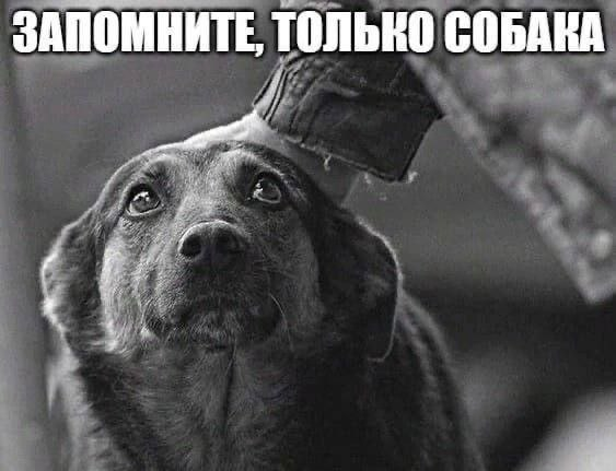 YaroslavConway's tweet photo. https://t.co/dbDIKHKV83