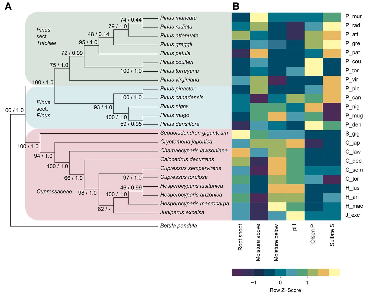 Phytobiomes Journal tweet media