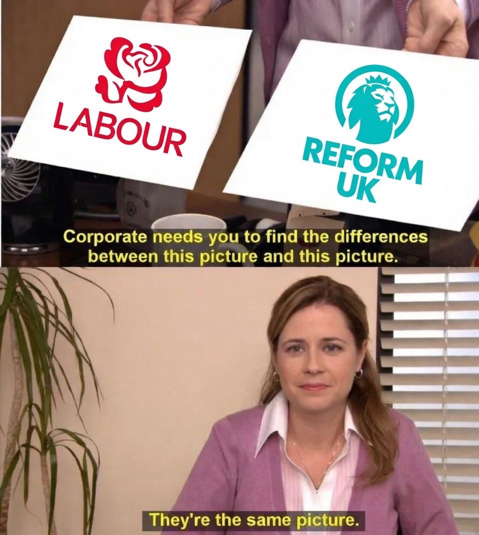 Amelia: Remigration tweet media