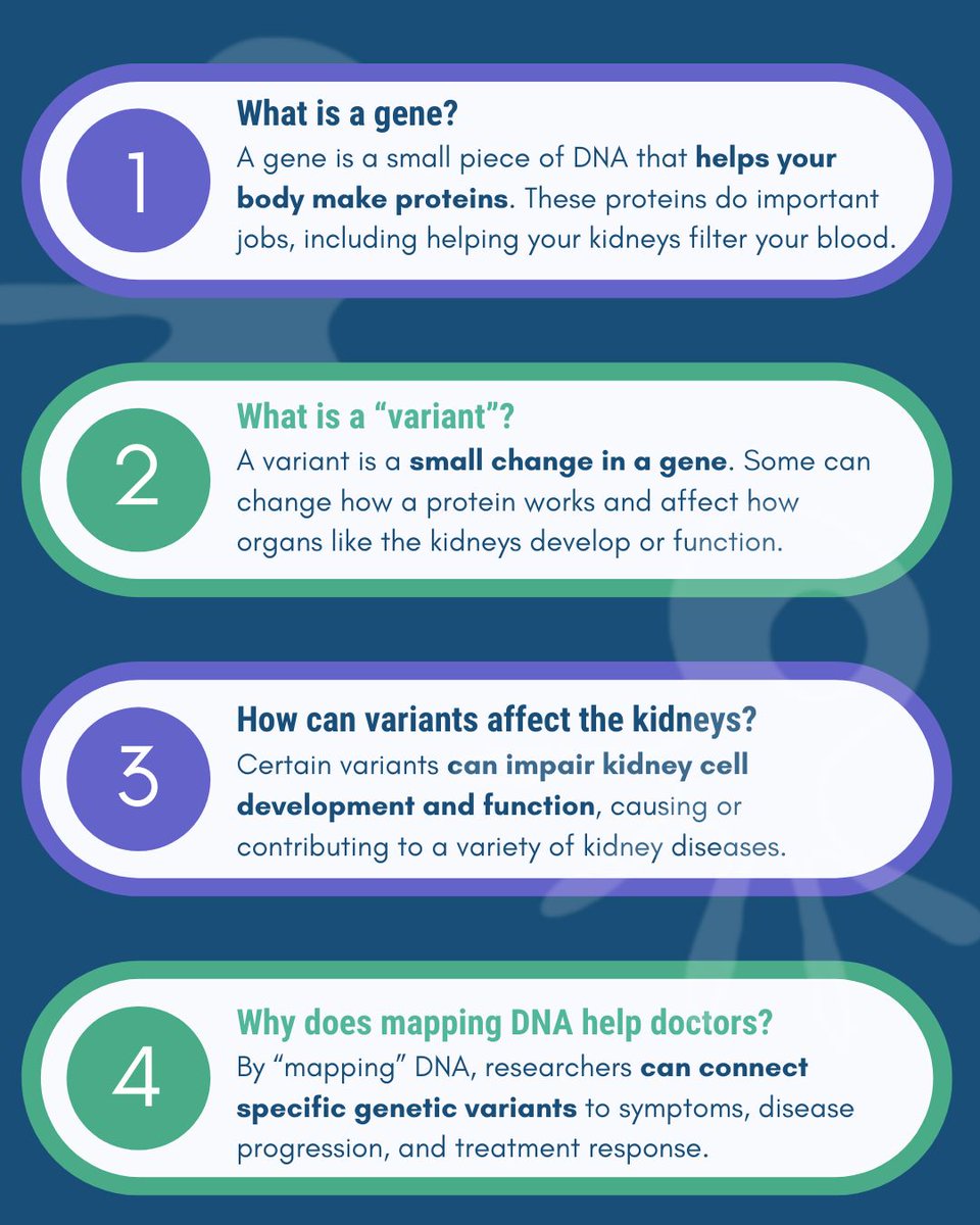 Sampson Lab for Kidney Genomics tweet media