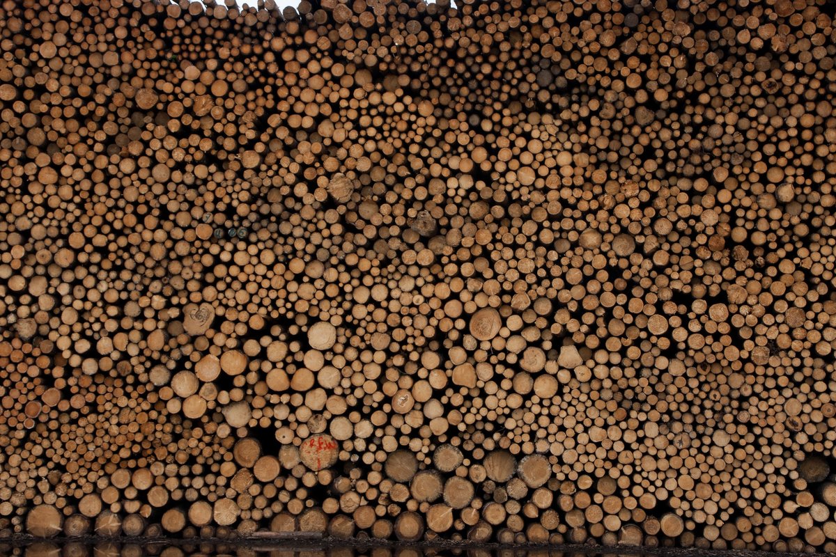 State Foresters tweet media