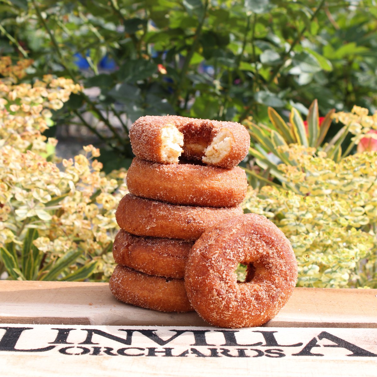 Linvilla Orchards tweet media