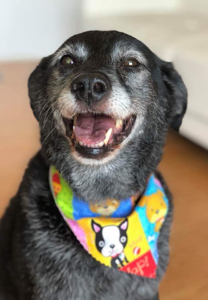 Garv 🟦 tweet media