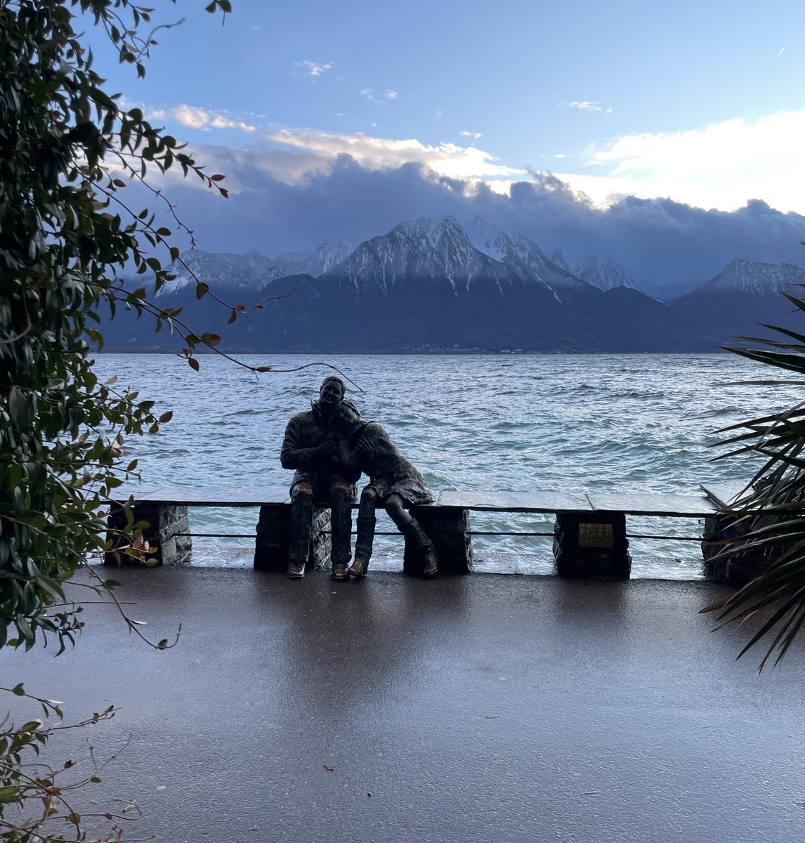 stefania cornaglia tweet media