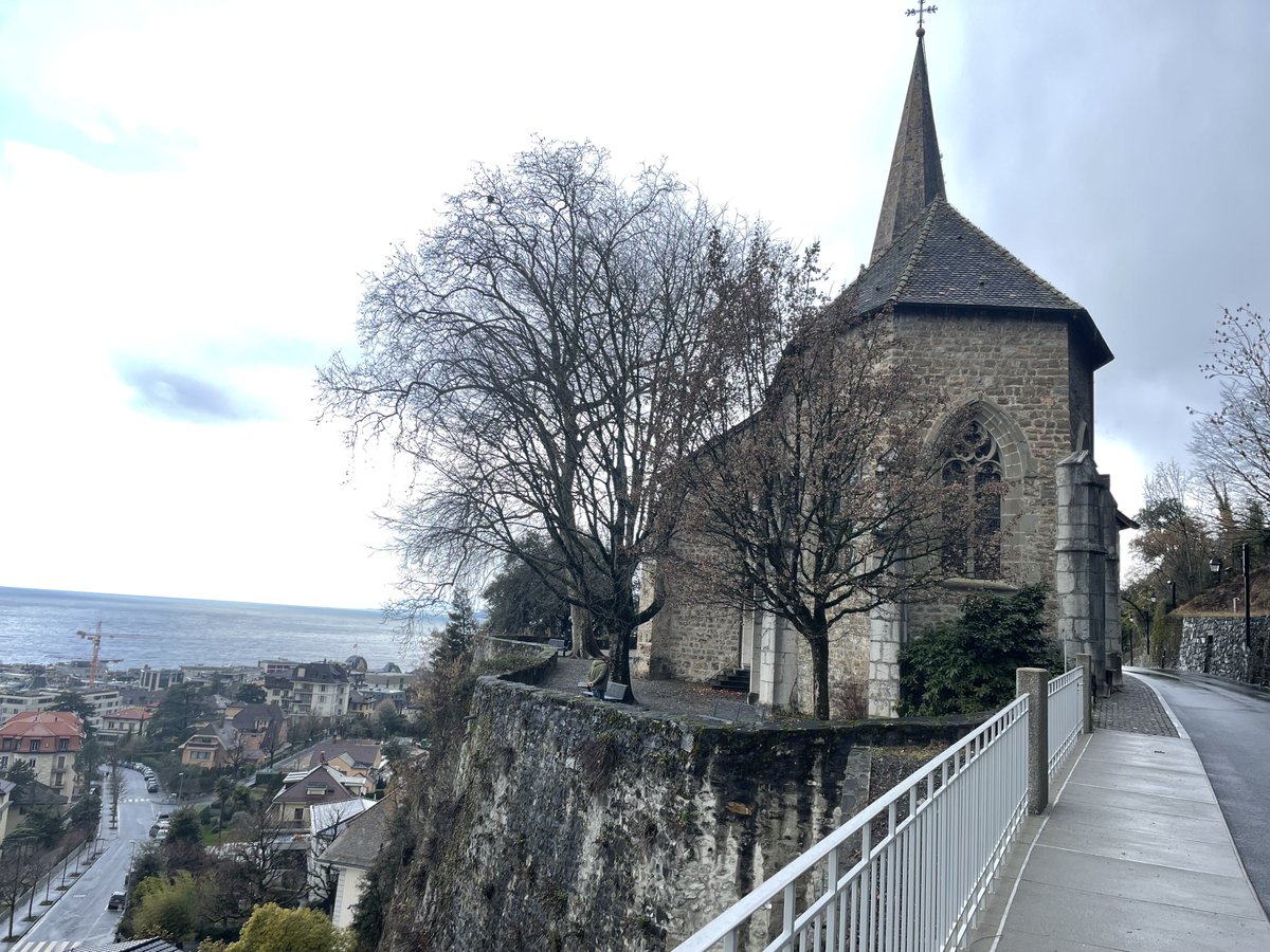 stefania cornaglia tweet media