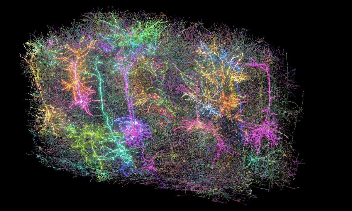 Neural Space tweet media