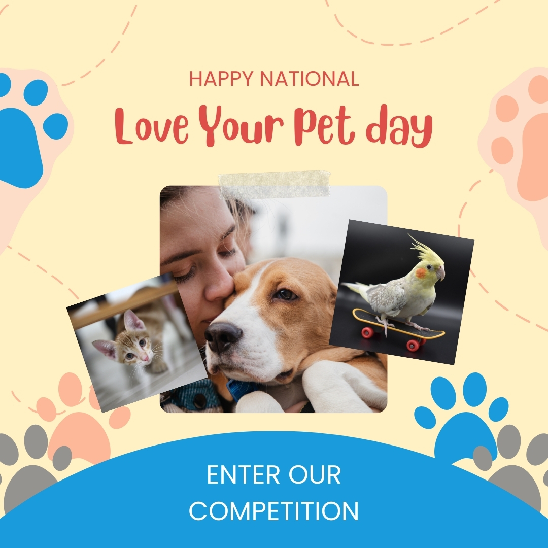 Danilo Calendars tweet media