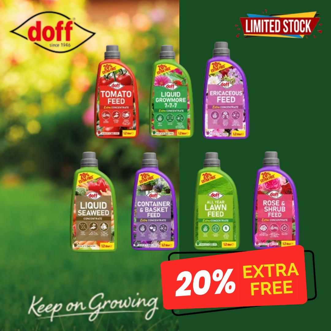 Joseph Murphy Ballina Ltd tweet media