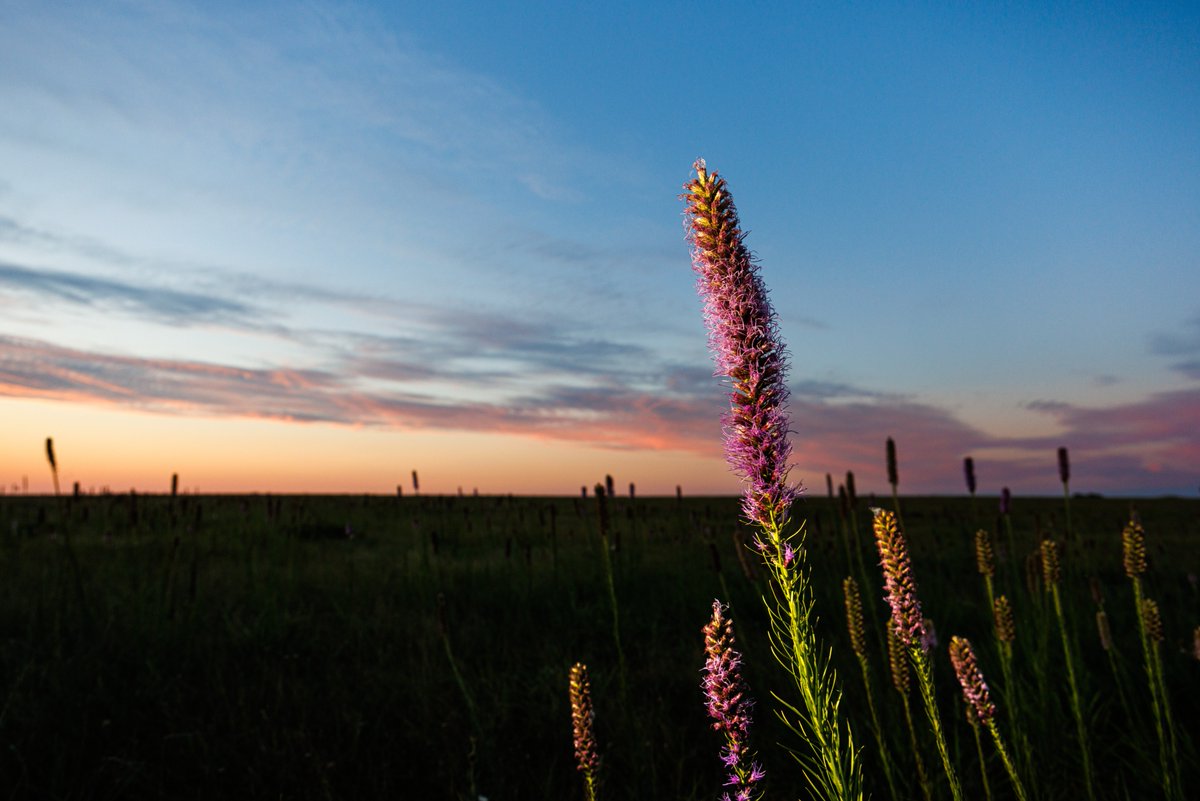 The Nature Conservancy in Texas tweet media
