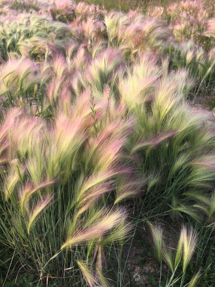 300moods's tweet image. 