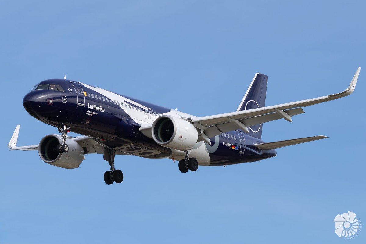 JoSé M. DeZa tweet media