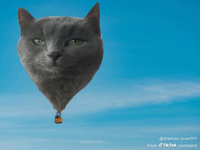 Lil Bit’s Humans tweet media