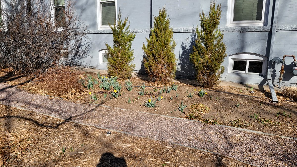 This is #DenverWX on warm winter steroids