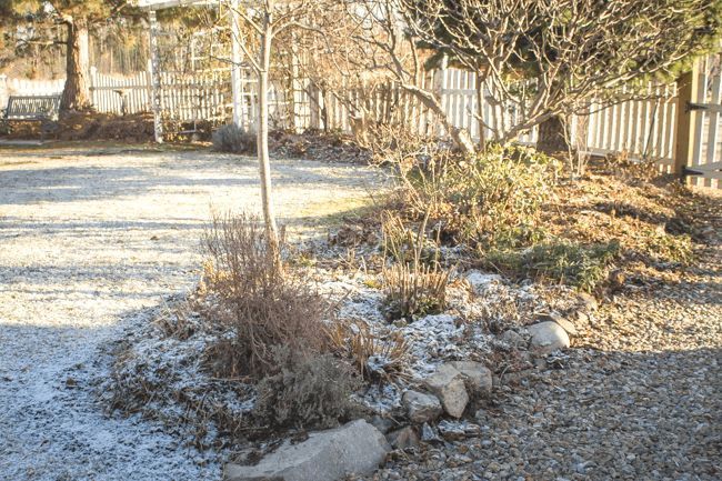 MomentsintheG's tweet image. Very surprised to see a slight scattering of snow this morning.  I guess winter is not over yet.  #lightsnowfall #wintercontinues #februarygarden #mygarden #mygardentoday #momentsinthegardenphotography