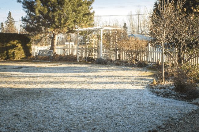 MomentsintheG's tweet image. Very surprised to see a slight scattering of snow this morning.  I guess winter is not over yet.  #lightsnowfall #wintercontinues #februarygarden #mygarden #mygardentoday #momentsinthegardenphotography