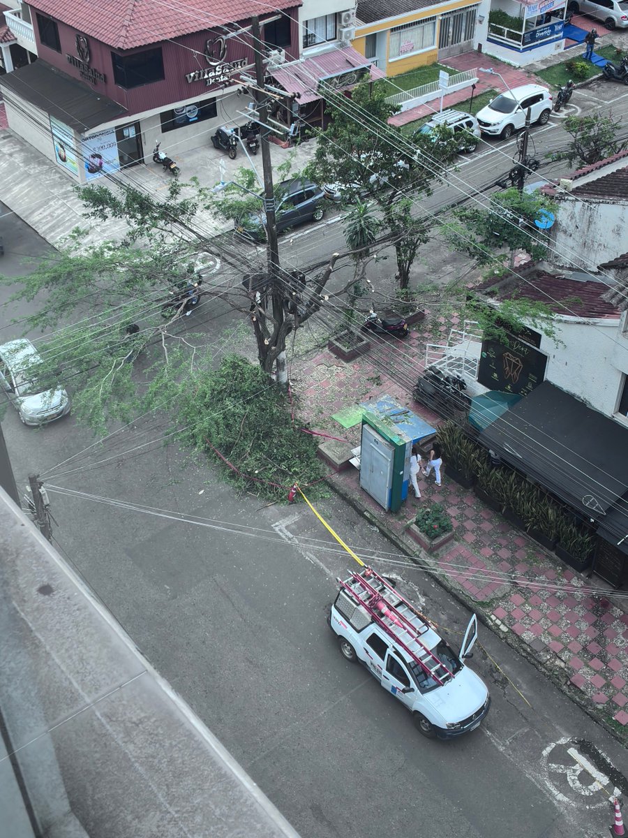 samoreno353's tweet photo. ⁦@dondeestalanoti⁩ la nueva manera de acabar con los pocos árboles que tenemos en la ciudad, por los cables de luz,redes. Por favor debemos preservar incentivar la siembra de árboles. Todos los dia se ve como los podan sin medida. https://t.co/376Mq8kNkS
