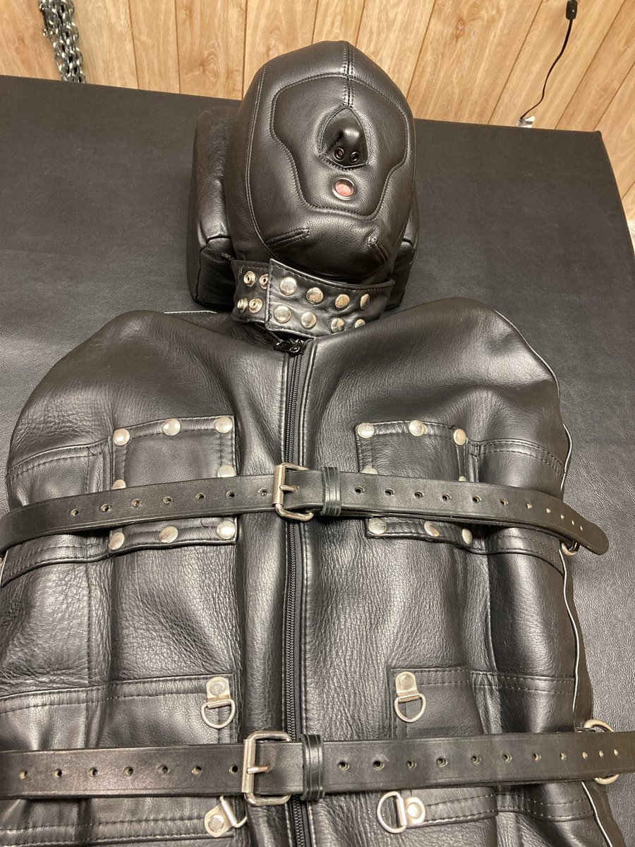 SeriouslyBound tweet media