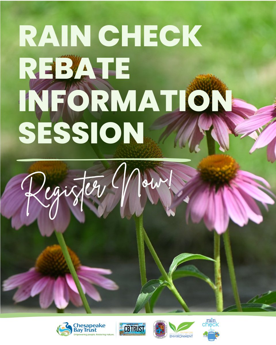 baytrust's tweet photo. Want to get money back for making your property greener? Join the Chesapeake Bay Trust for an in-person info session about the Prince George’s County Rain Check Rebate Program in Hyattsville!

Learn more: https://t.co/xW9PmrfJNF
Register here: https://t.co/yQhf7kB8fX https://t.co/noPjmR128F