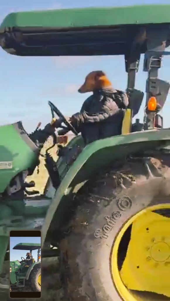 Genti 𝕏 👽 tweet media