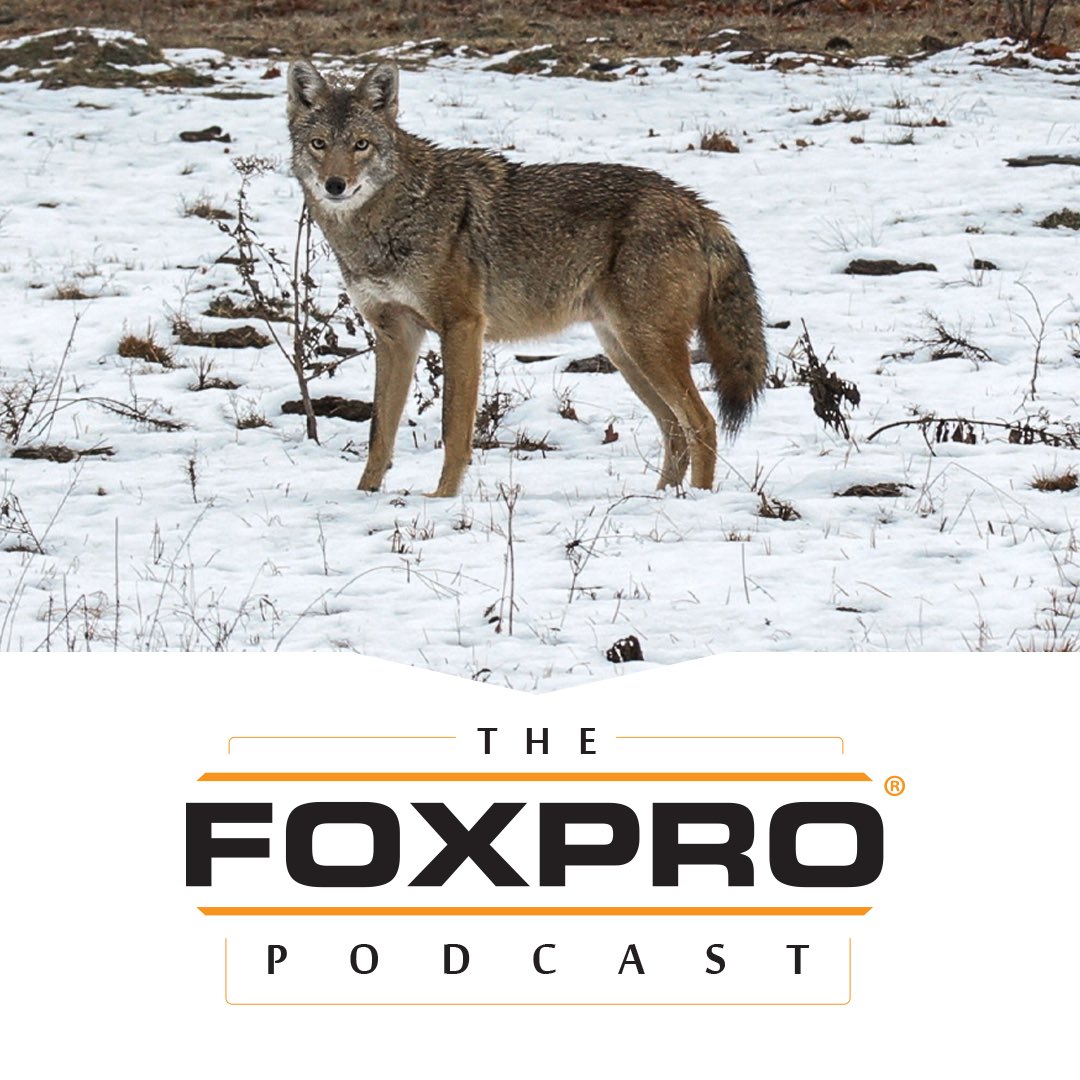FOXPRO Inc. tweet media