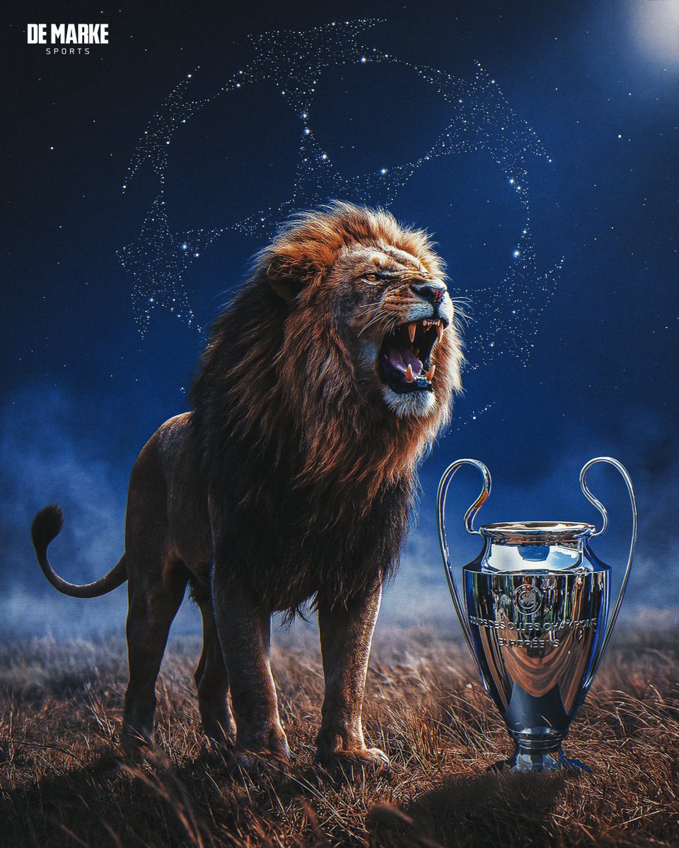 Şampiyonlar Ligi’nde 200. maç 🔥

Galatasaray, organizasyon tarihinde bu sayıya ulaşan ilk Türk takımı oldu 🇹🇷🦁