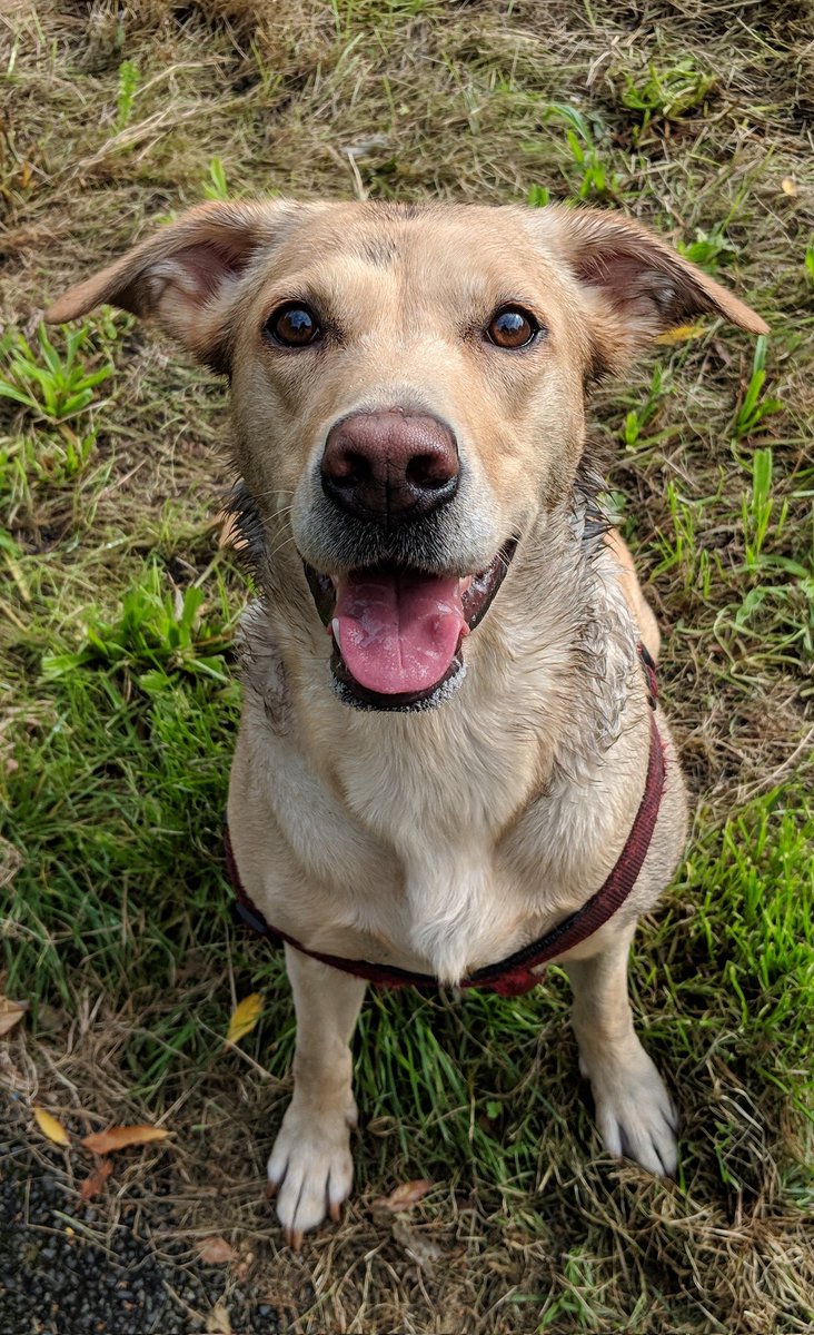 Mark (マーク) tweet media